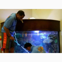 Aquarium Cleaning Service