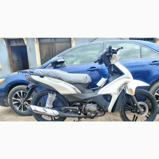 New Qlink Rave 150 2023 White