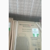 12 Inches Modern Day Public Address System MLG 1255kb