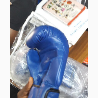 Everlast Quality Boxing Gloves