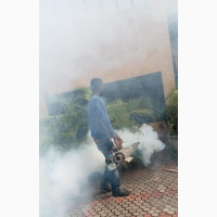 Professional Fumigation and Cleaning Services