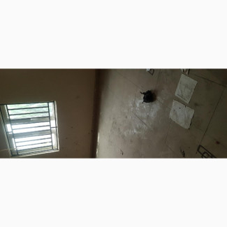 Office Space 4 Compartments for Rent in Abijo Facing Exprs