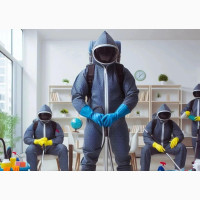 Sparkle Shine: Our Expert Deep Cleaning Service