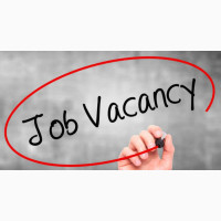 Dynamic Secretary With Social Media Customer Service Skill