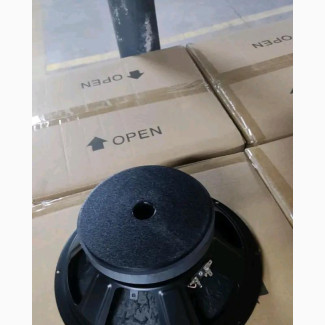 15 Inches Naked Speaker