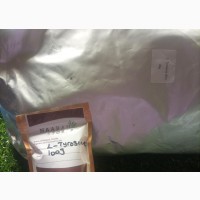 L-Tyrosine Extract Powder - 100grms