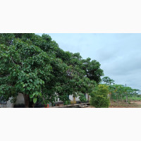 120 Plots of Land for Sale