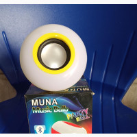 Music Bulb