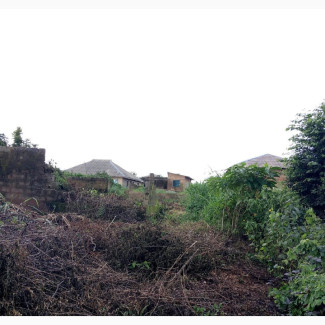 Half Plot of Land for Sale Ful Plot in Ifo Ogun