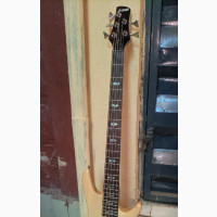 Wellsound 5strings Bass Guitar