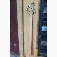 Wellsound 5strings Bass Guitar