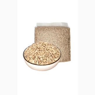 Sunflower Kernels - 1kg