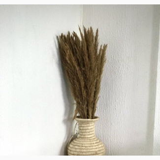 Pas Grass and Decorative Woven Vase