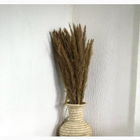 Pas Grass and Decorative Woven Vase