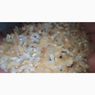 Rice. Brown Rice and Broken Rice. Dry Dog Food
