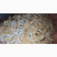 Rice. Brown Rice and Broken Rice. Dry Dog Food