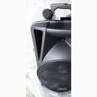 Pro-King Rechargeable Bluetooth Speaker With Mic