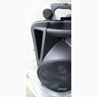 Pro-King Rechargeable Bluetooth Speaker With Mic