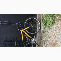 Carrera Road Bike