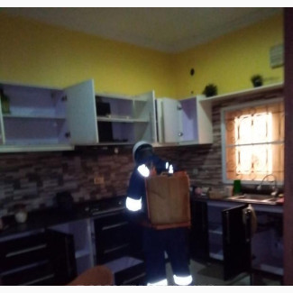 Bed Bug Fumigation Treatment