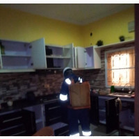 Bed Bug Fumigation Treatment