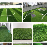 Artificial or Synthetic Grass