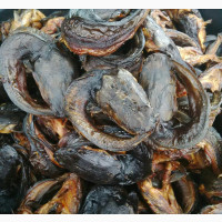 Dekoraj Farms Smoked Catfish Both In Medium And Large Quantity