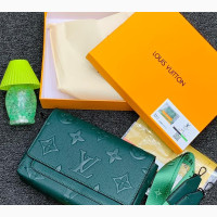 Louis Vuitton Luxury Bag