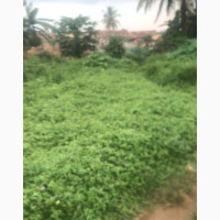 1 Acre Around Ido Secreteriat LG Ibadan