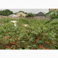 100 By200 for Lease by Club Truth Limit GRA Benin