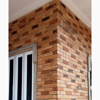 South African Bricks