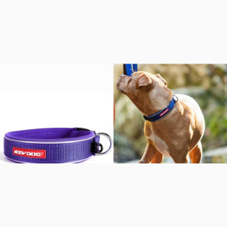 Ezydog XL PURPLE Neo Classic Collar Strong Reflective