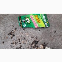 Greenleaf Cockroach And Baits Killer