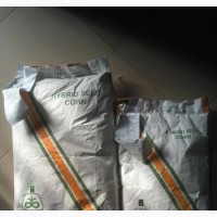 Pioneer Hybrid Maize Seed
