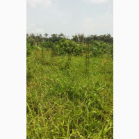 Fast Selling Plots of Land at Abule Ado Behind Trade Fair