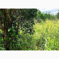 For Sale; Acres of Farm Land in Abeokuta North