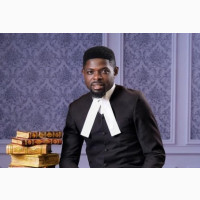 Legal Practitioner/Consultant