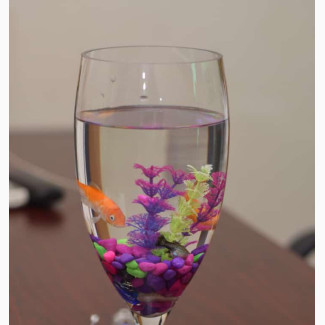 Cup Bowl With Lovely Fishes