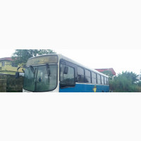 Bus 2010 Blue