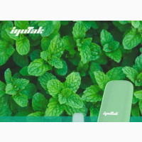 Anchor Disposable Vape Pod 5000 Puff