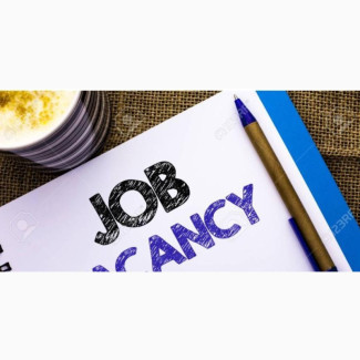 Primary School Teacher Needed