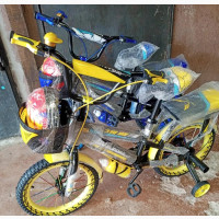 Kid#039;s Bicycle and Free Bicycle Pump