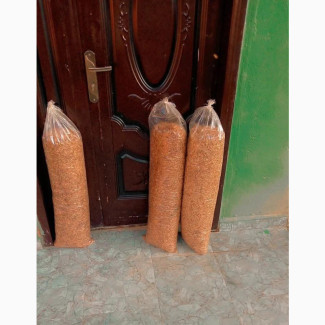 Crayfish in Bags and Painters Available - MG Seafood