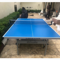 Affordable Aluminum Outdoor Table Tennis Board
