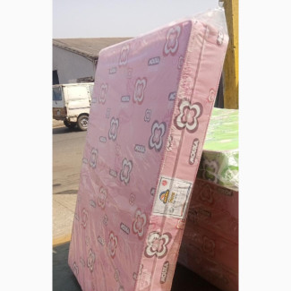 Mouka Flora 6 by 4 by 8inches With 3years Warranty