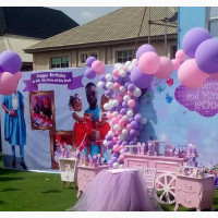 Kid#039;s Birthday Party Decorations Services