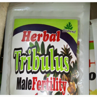 Herbal Tribulus Tea for Male Fertility