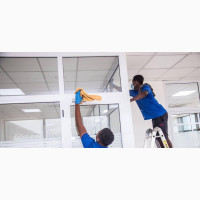 Professional Cleaning Services Available Now