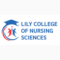 Lily College Of Nursing Sciences Okumagba Avenue Warri, Delta State 2025/2026 Admission