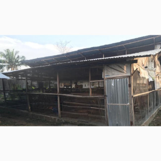 2plot for Poultry Lease